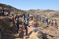 Studenti della scienza per la salute di Asmara in lavoro estivo volontario
