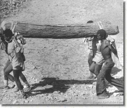 Foto: lavoro duro per preparazione delle trincee