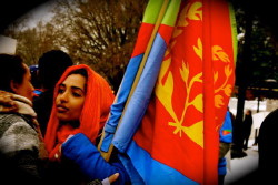 Foto di una ragazza in manifestazione di Stoccolma