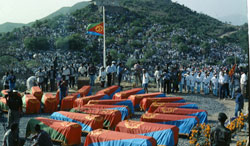 Foto dei martiri della guerra Eritrea