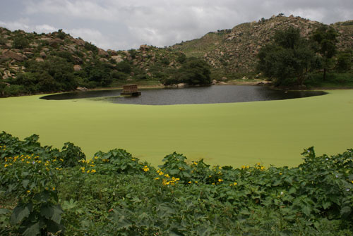 Foto di un laghetto artficiale in  centro di Eritrea