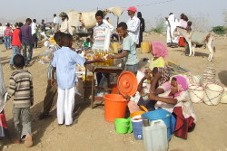 foto mercato di campagna nel Sud Eritrea