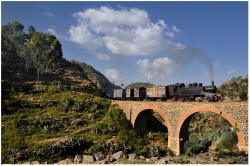 Foto del treno a vapore turistico a vapore eritreo