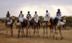 Immagine dei cammelieri eritre in posa