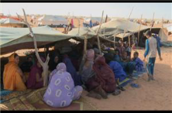 Foto dei profughi maliani tuareg in Niger