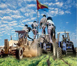 Immagine di difesa e sviluppo Eritreo