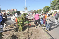 Lavoro volontario di giardinaggio ad Asmara