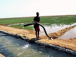 Innaffiamento per irrigazione dell'agricoltura moderna eritrea