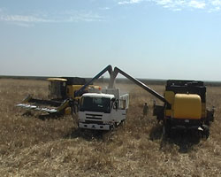 Foto di raccolta di grano con macchinari moderni
