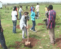 Foto di piantazione di alberi a Sawa dai ospiti della diaspora eritrea