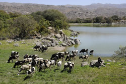 Foto di una vallata di fronte a una diga Eritrea