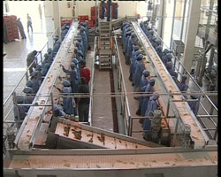 Foto di una fabrica tessile di Asmara