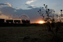 Foto del treno a vapore al tramonto Eritrea